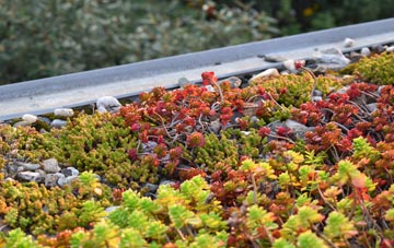 the cost of Wellingborough green roof installation